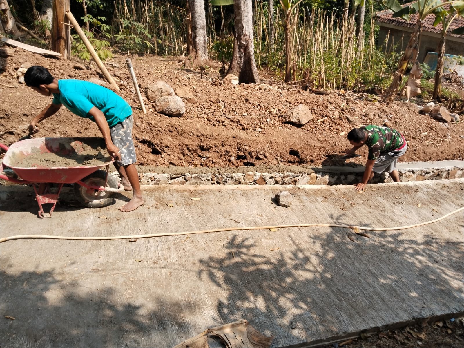 Pendampingan TMMD Ke-129 Kodim Bangli Optimasikan Pangan Melalui Budidaya Pakcoy