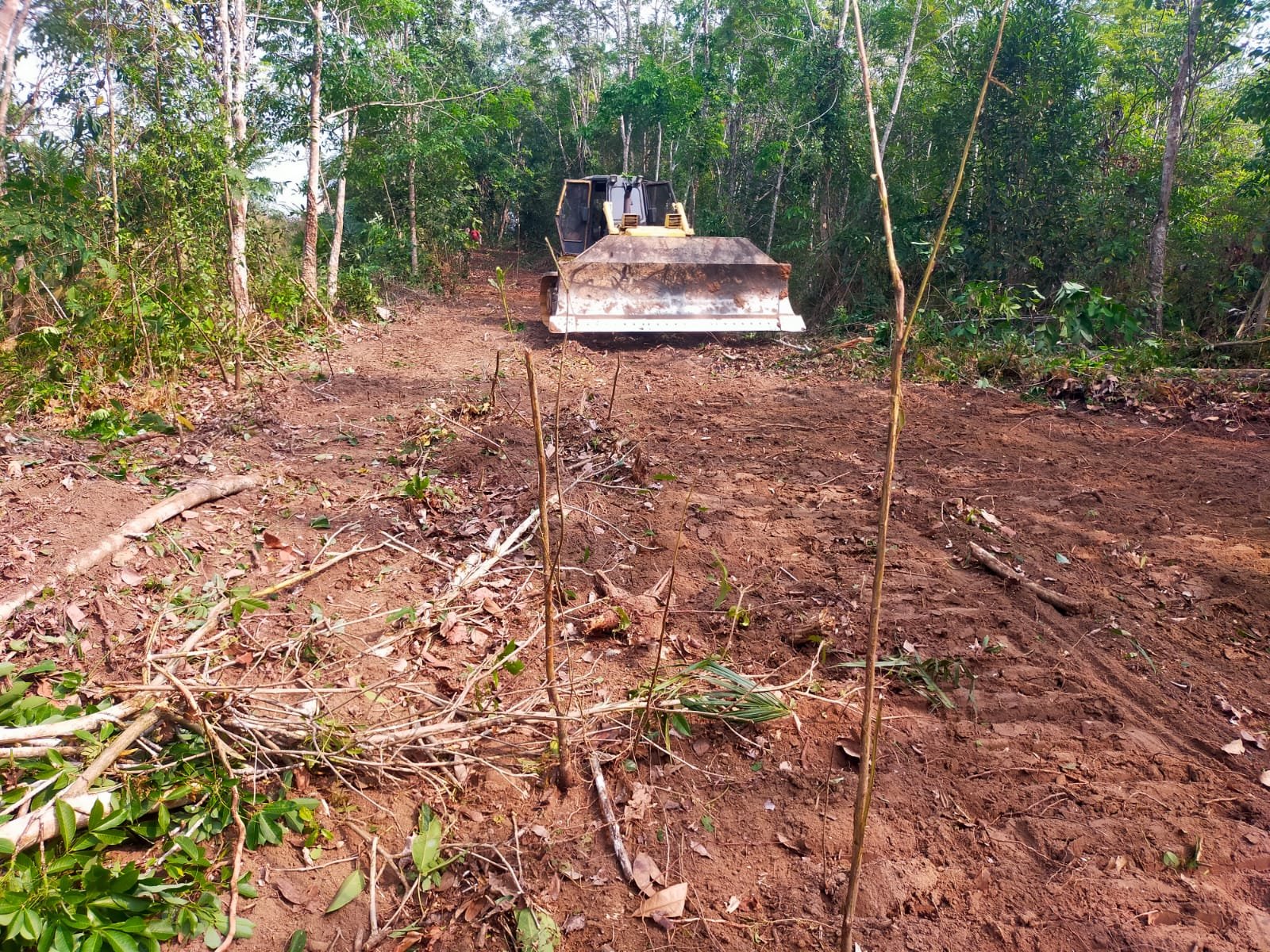 TNI Percepat Pembangunan Desa dengan Pembukaan Jalan di Way Kanan