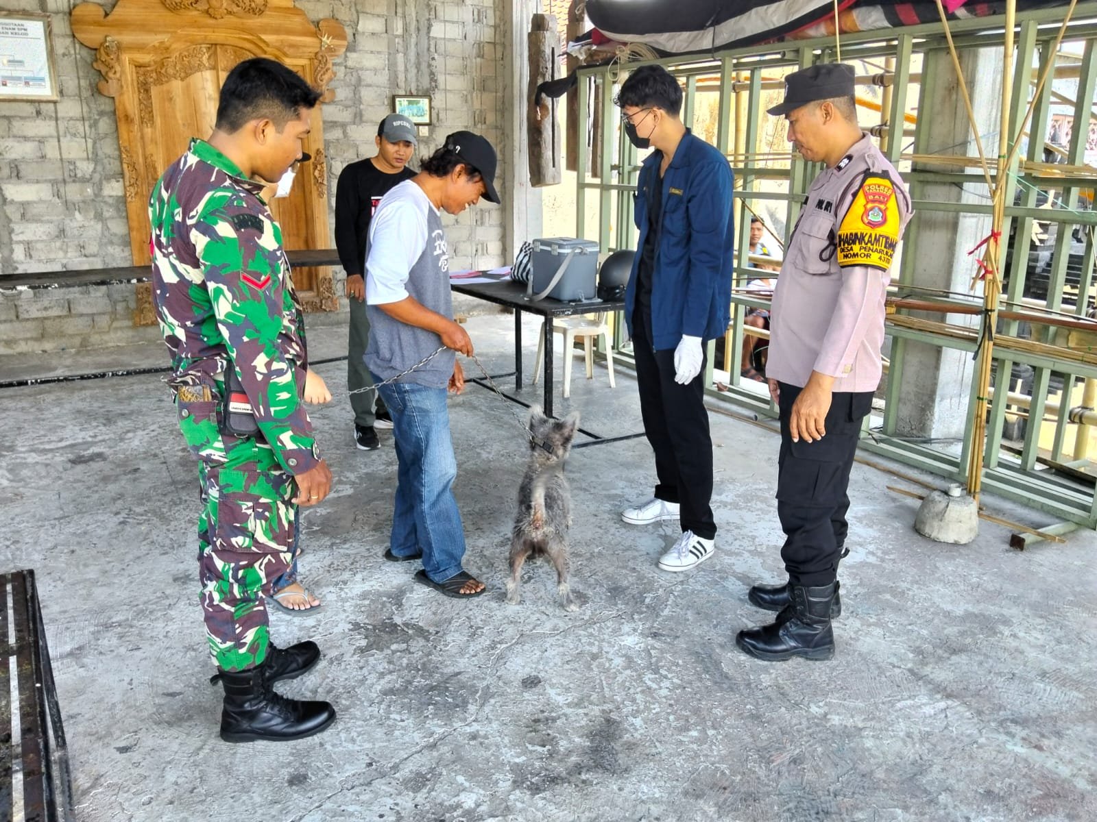 Sinergi Vaksinasi Hewan Peliharaan di Tabanan untuk Cegah Rabies