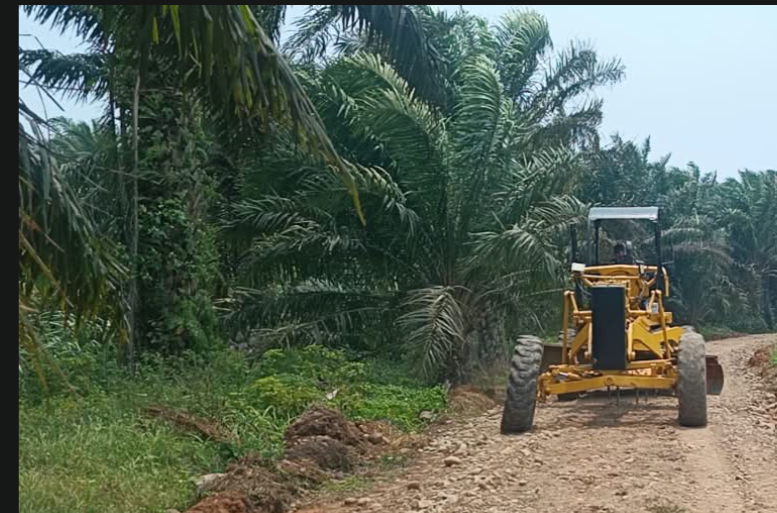 Jalan Baru TMMD ke-130 Membuka Peluang Ekonomi bagi Warga Bengkulu